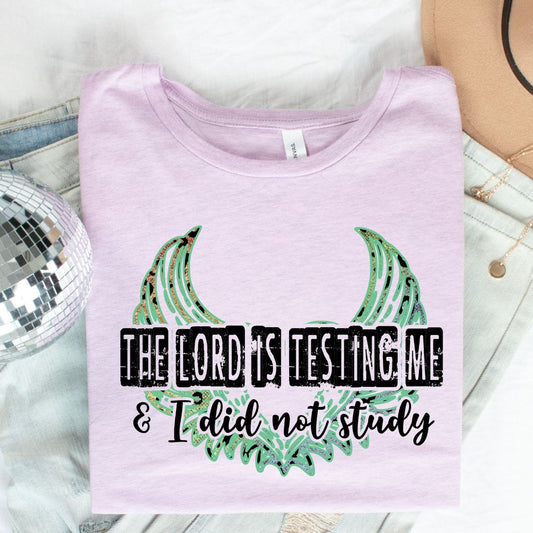 The Lord is Testing Me and I Did Not Study Tee